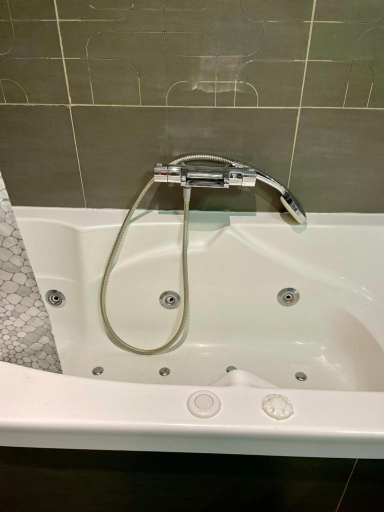 Le Cocon Art Deco Appartement Caluire-et-Cuire